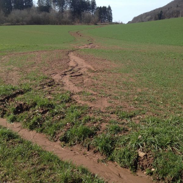 Datei:Erosion Feld.jpg